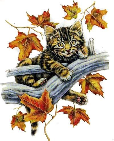 №677768 - оригинал