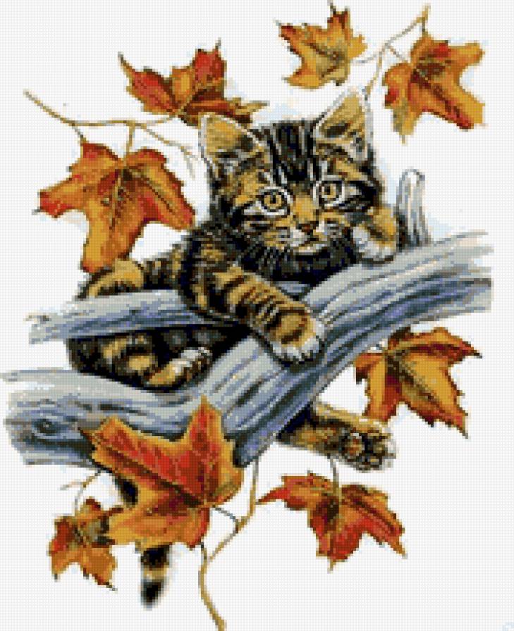 №677768 - предпросмотр