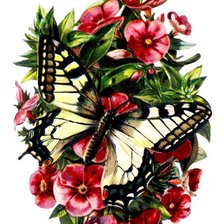 Оригинал схемы вышивки «цветы и бабочки» (№677900)
