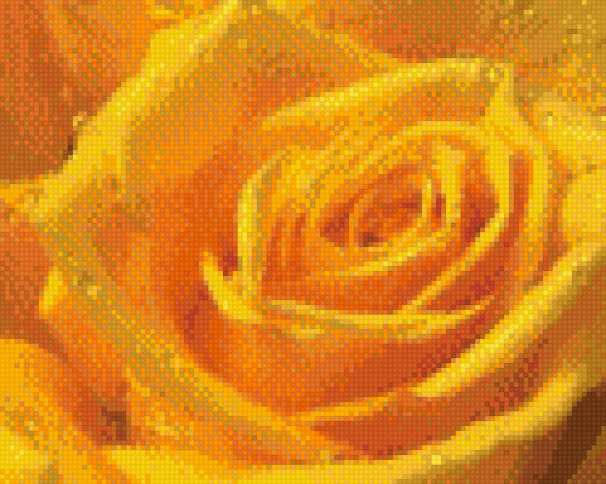 Желтая роза - роза - предпросмотр