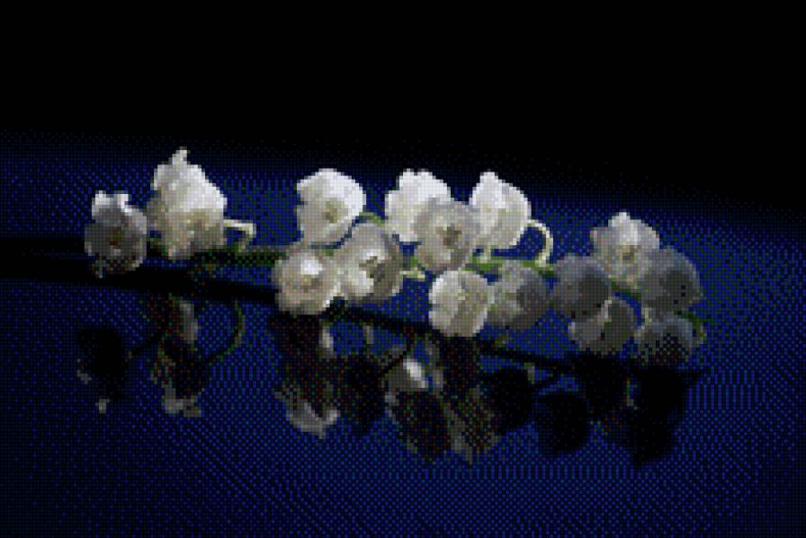 ландыши - цветы, ландыши - предпросмотр