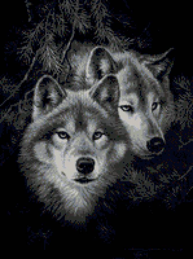 Волки - предпросмотр