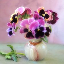 Схема вышивки «анютины глазки»