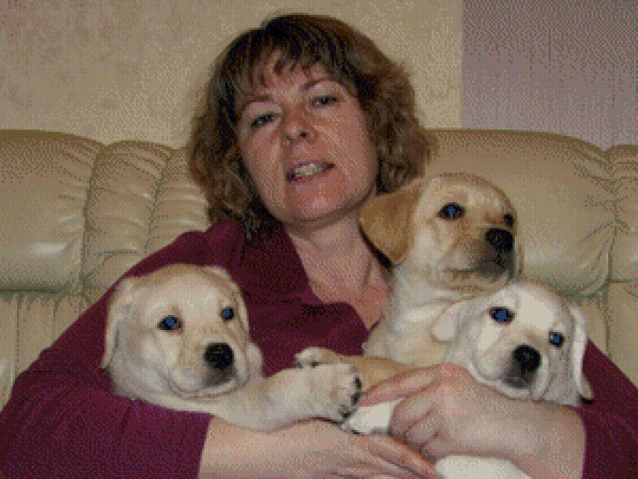 люди - предпросмотр