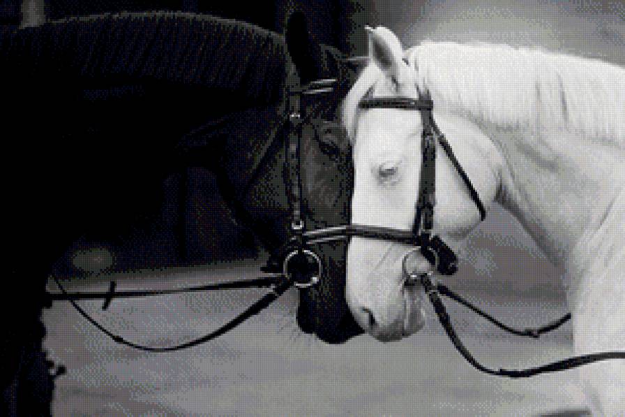 любовь - предпросмотр