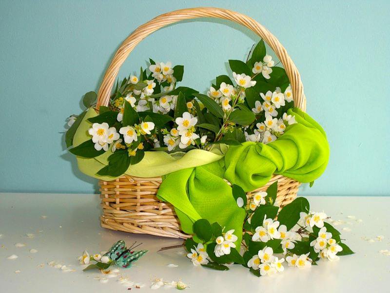 №678634 - натюрморт - оригинал