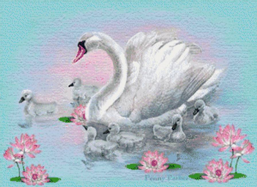 №678798 - лебеди - предпросмотр