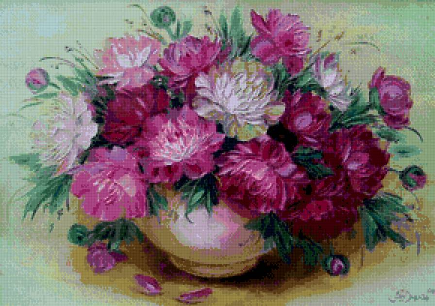 букет пионов - цветы, пионы - предпросмотр