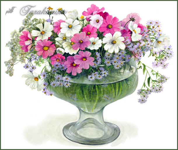 серия "цветы" - цветы.космея - оригинал