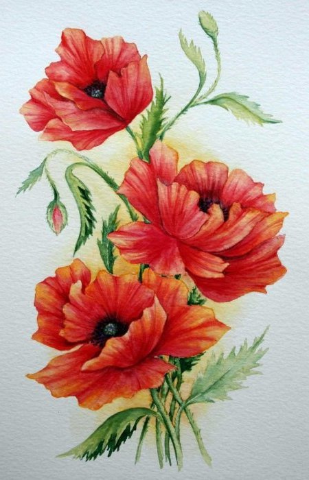 №679126 - цветы - оригинал