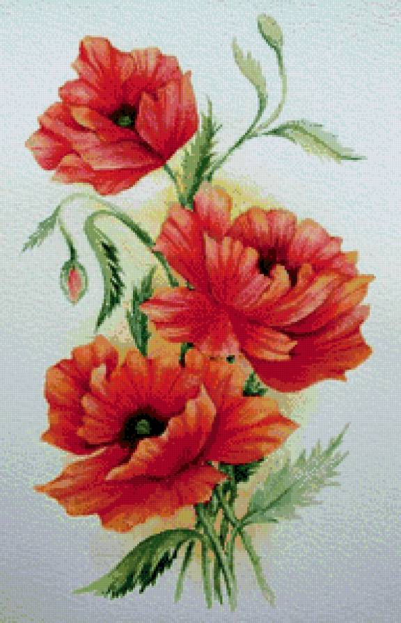 №679126 - цветы - предпросмотр