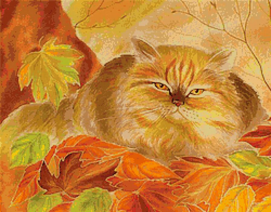 осенний кот - лис тья, кошки, осень, животные - предпросмотр