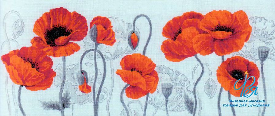 алые маки мои - оригинал