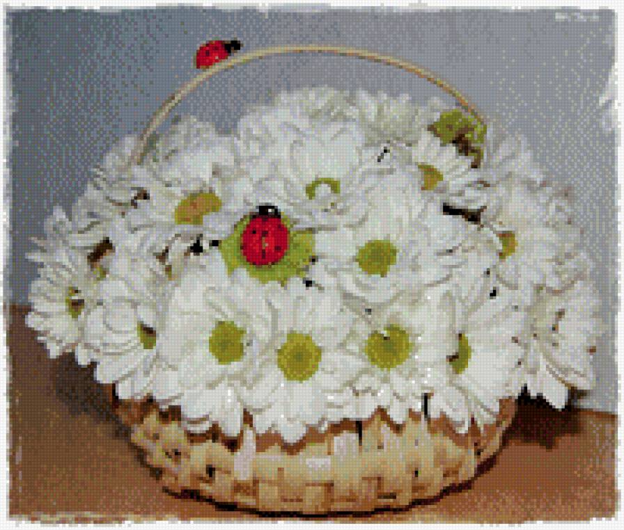 ромашки - ромашки - предпросмотр