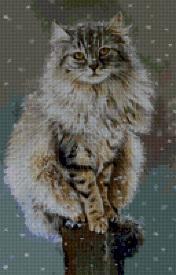 Котик - тварини - предпросмотр