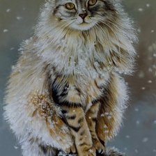 Схема вышивки «Котик»