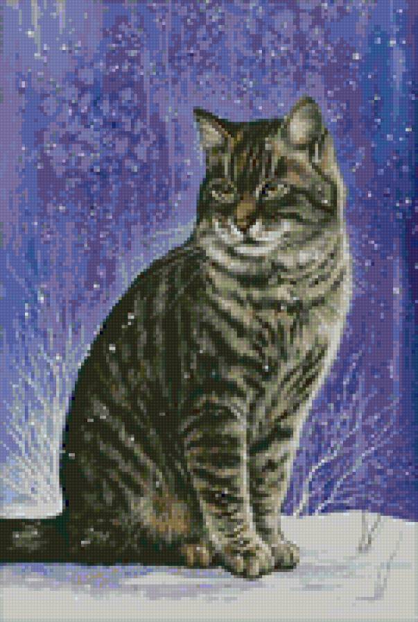 Котик - тварини - предпросмотр