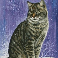 Схема вышивки «Котик»