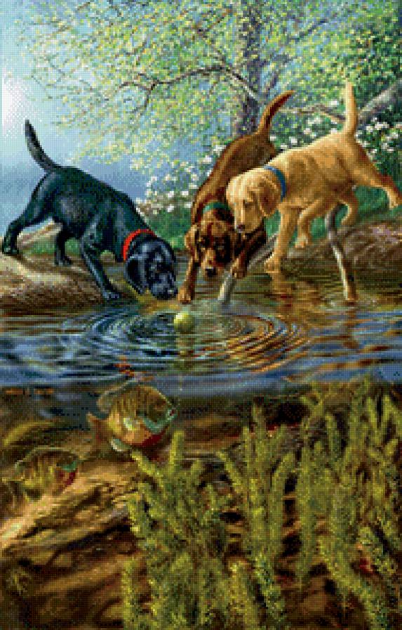 2444 - предпросмотр