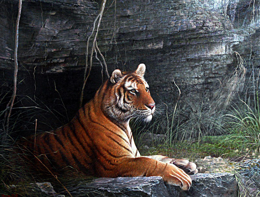 Tygrys - tygrysy - оригинал