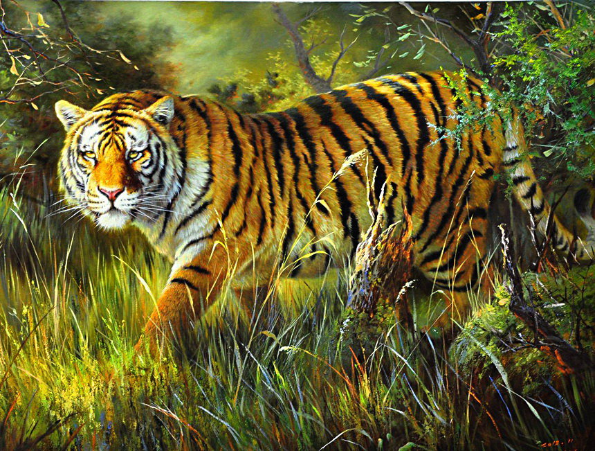 Tygrys - tygrysy - оригинал