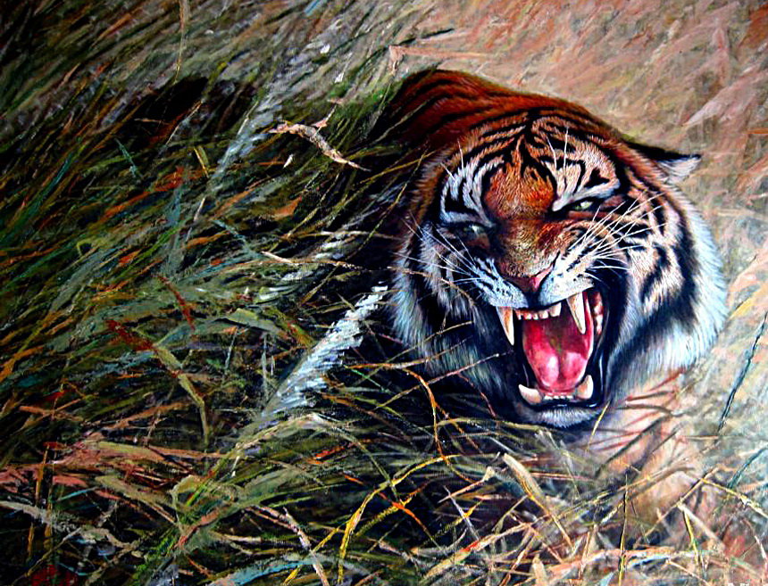 Tygrys - tygrysy - оригинал