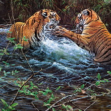 Схема вышивки «Tygrysy»