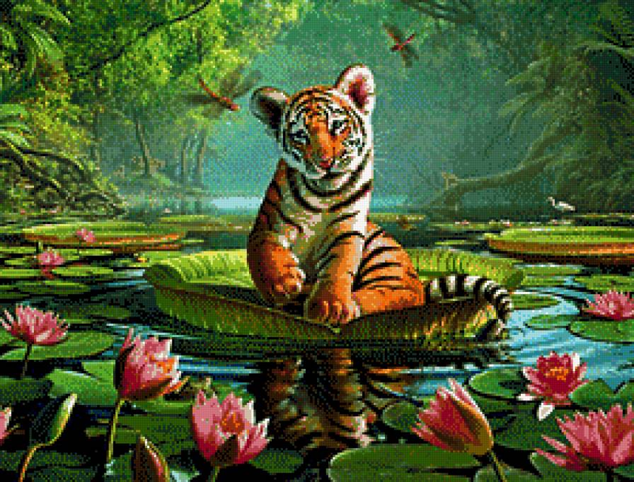 Tygrysek - tygrysy - предпросмотр