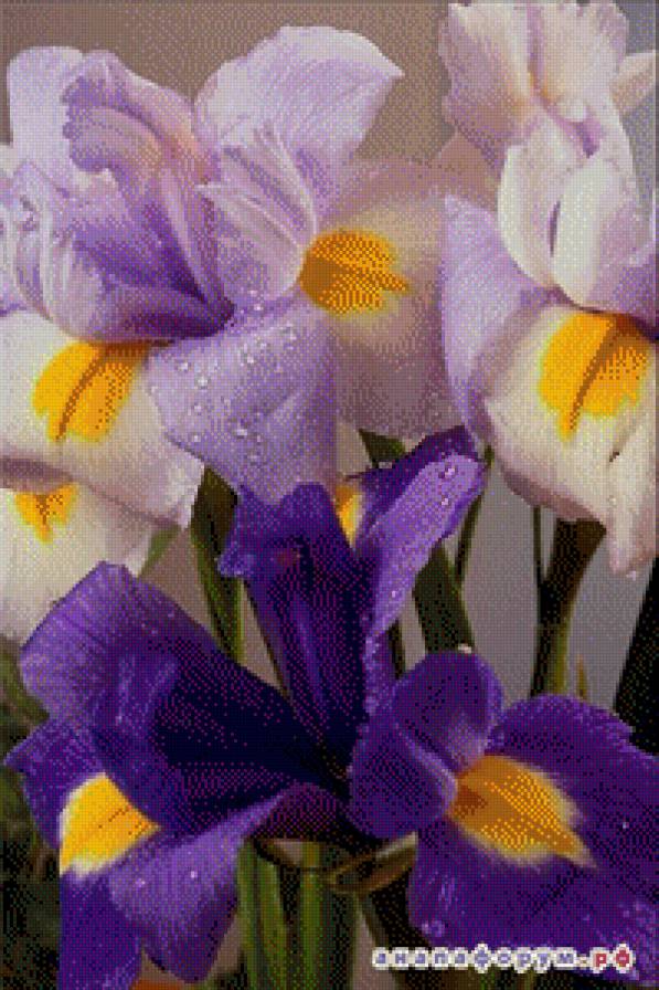 №680189 - предпросмотр