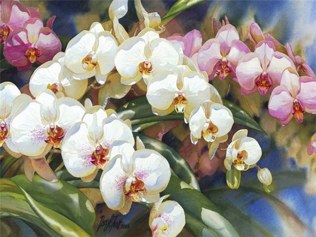 №680203 - оригинал