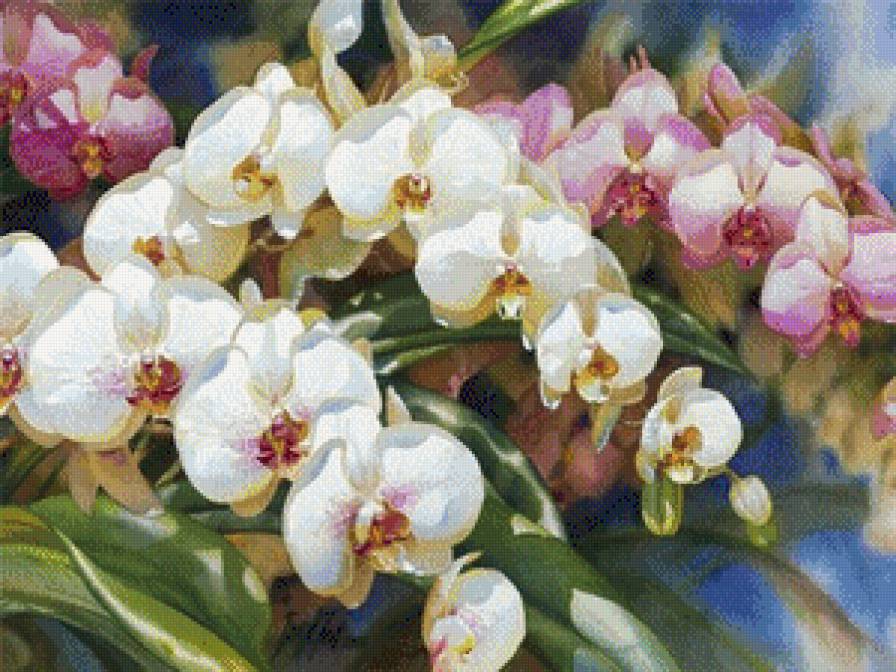 №680203 - предпросмотр