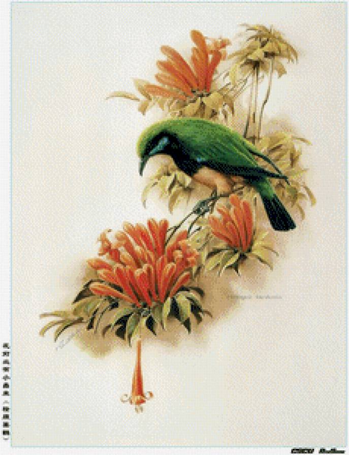 №680208 - предпросмотр