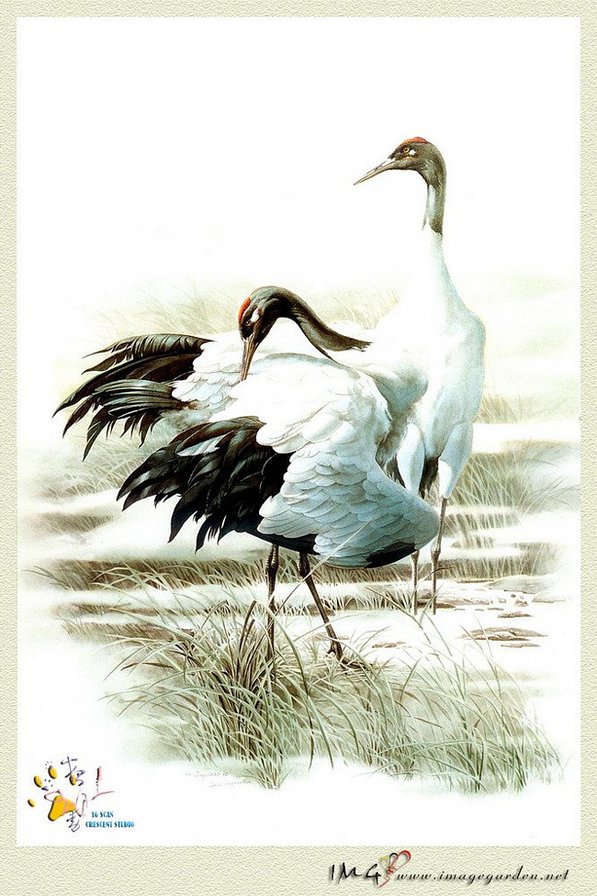 №680211 - оригинал