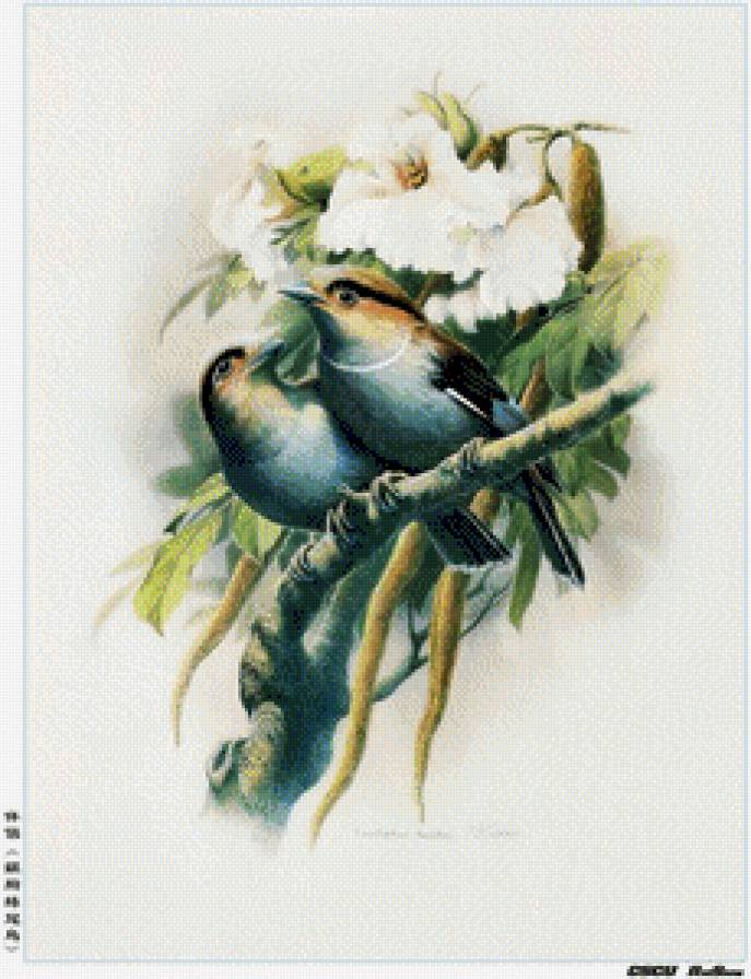 №680226 - предпросмотр