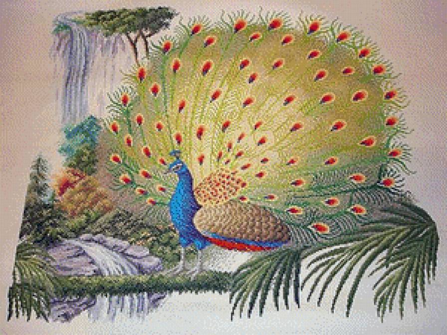 №680230 - предпросмотр