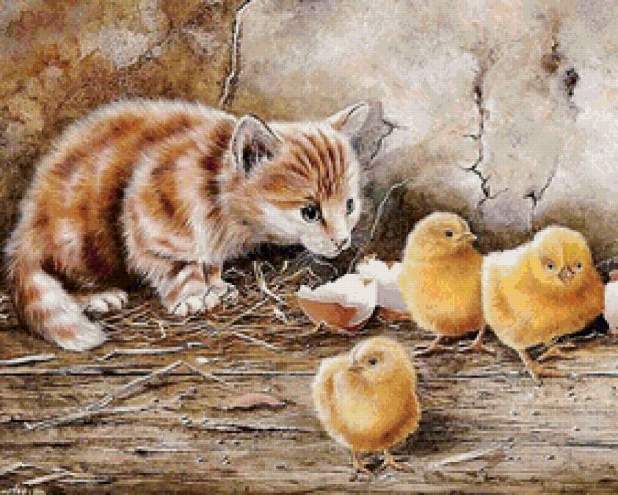 Котенок с цыплятами - птицы, цыплята, животные, деревня, котенок, природа - предпросмотр