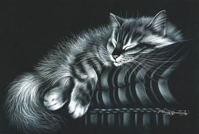 Кот на отдыхе - животное, кот, диван, комната, сон - оригинал