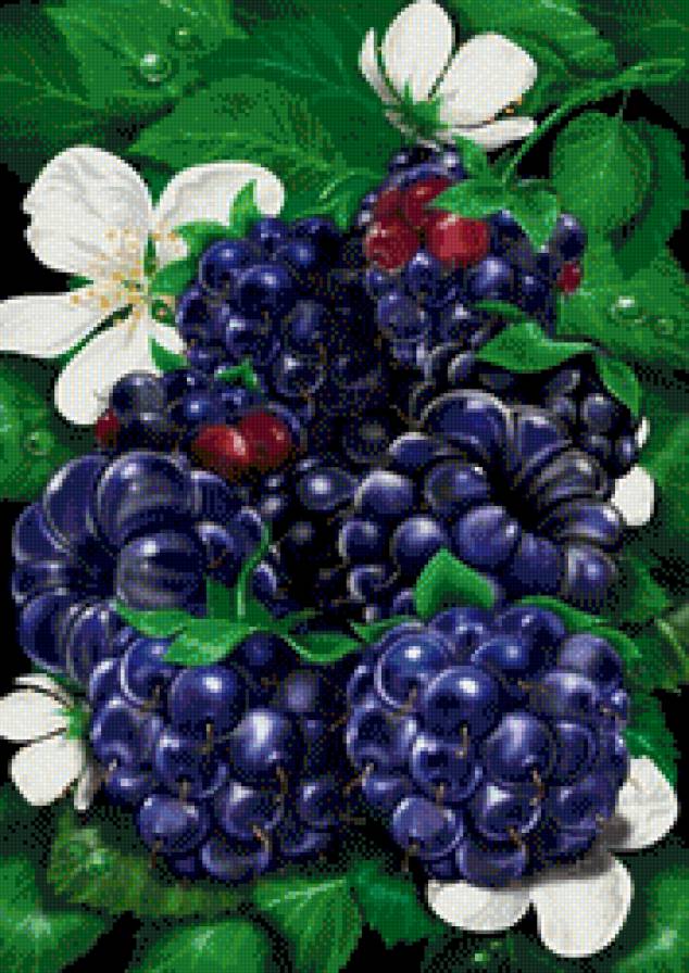 №680311 - предпросмотр