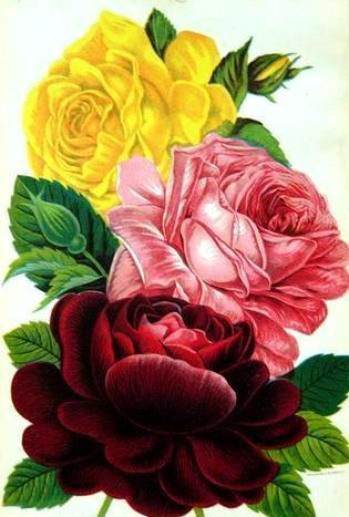 №680341 - оригинал