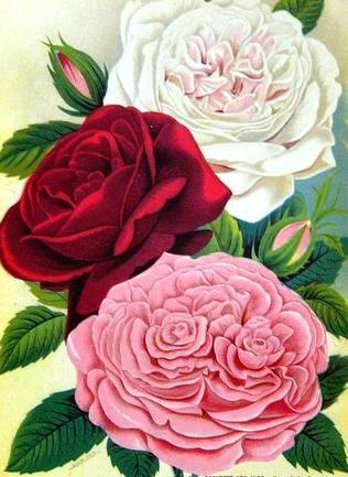 №680342 - оригинал