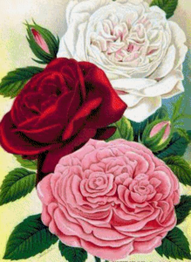 №680342 - предпросмотр