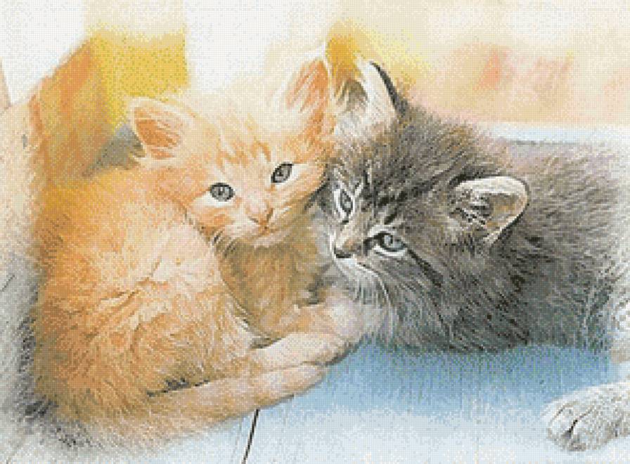 Котята - котята, картина - предпросмотр