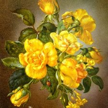 Оригинал схемы вышивки «Желтые розы» (№680482)