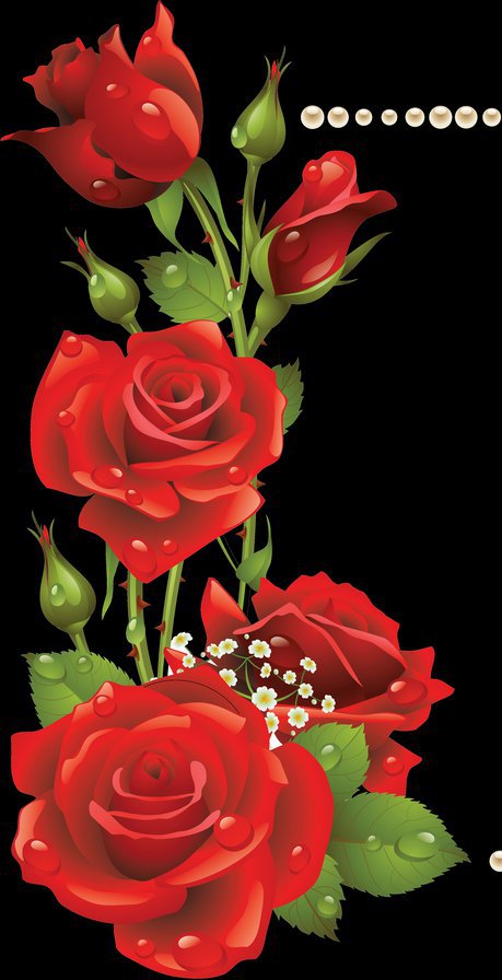 РОЗЫ - цветы - оригинал