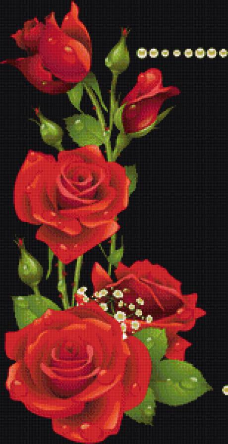 РОЗЫ - цветы - предпросмотр