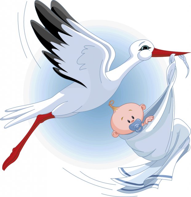 аист - оригинал