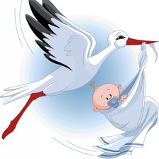 Схема вышивки «аист»