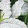 Предпросмотр схемы вышивки «лилии» (№681157)