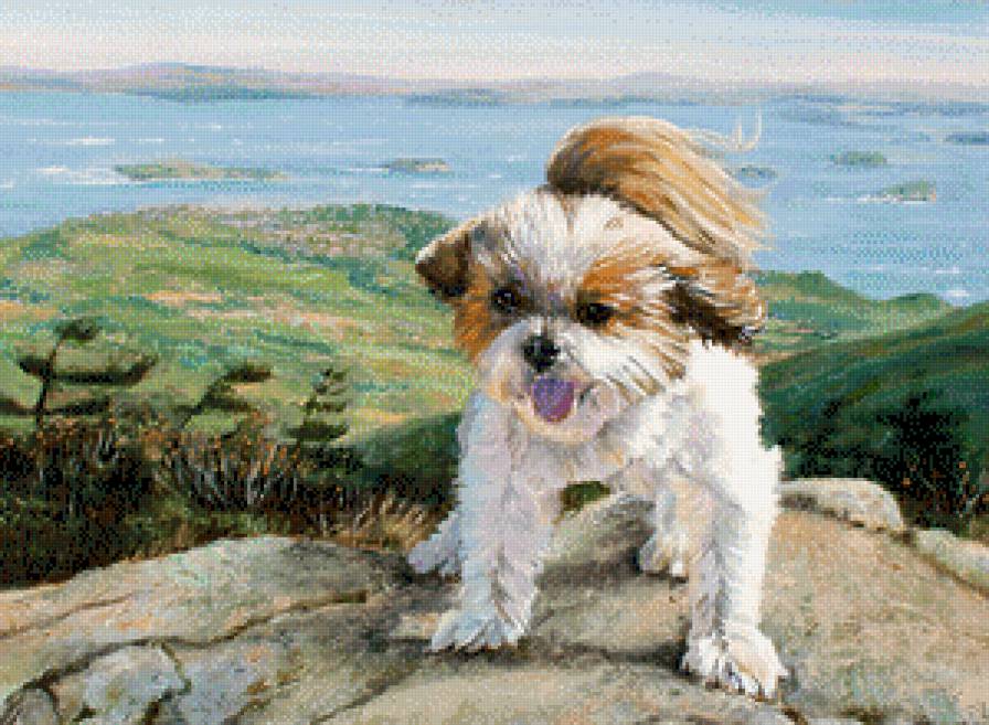 песик - животные, собаки - предпросмотр