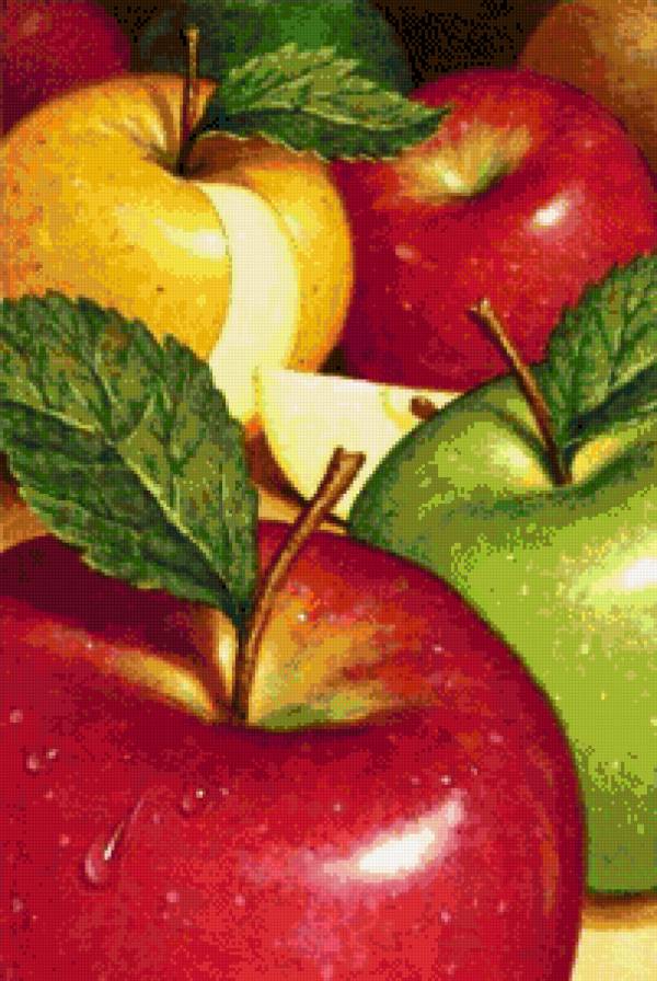 №681213 - предпросмотр